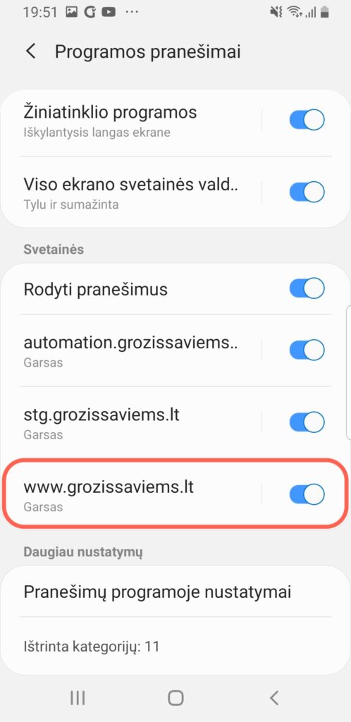 Įsitikinkite, kad www.grozissaviems.lt pranešimai yra įjungti